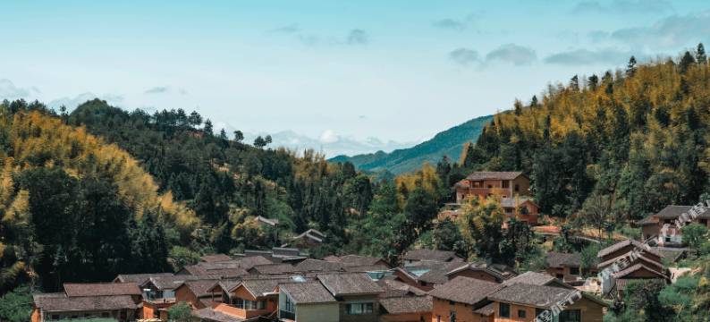 锦上云宿·星宿高田图片