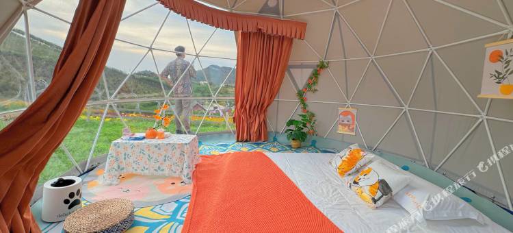 花海星空露营图片