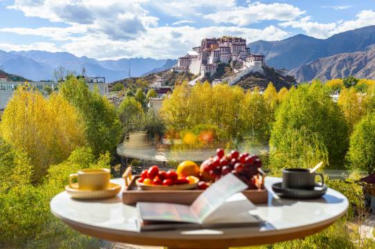 泊舍观景富氧酒店(布达拉宫大昭寺店)