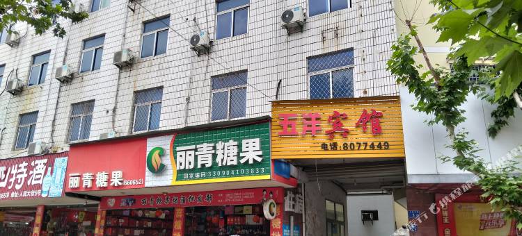 松阳五洋宾馆图片