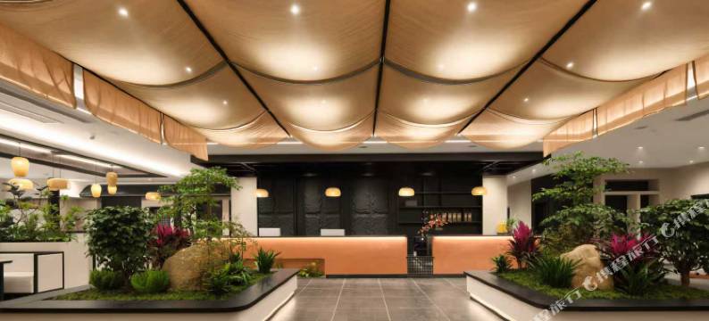 仰望星空starry.sky设计师酒店(武当山景区售票处店)图片