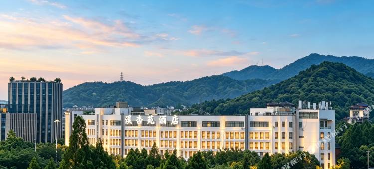 溪杏苑国际大酒店(杭州西溪湿地留下地铁站店)图片