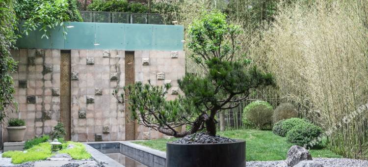 成都九点国际酒店(世纪城新会展远大购物中心店)图片