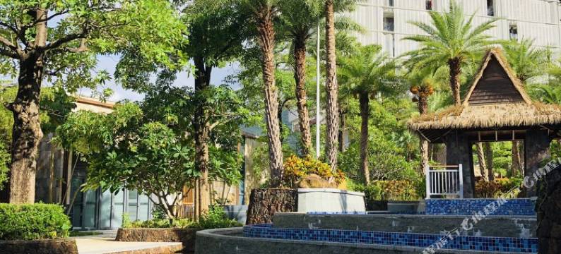 深圳星辰大海民宿(沙鱼涌沙滩店)图片