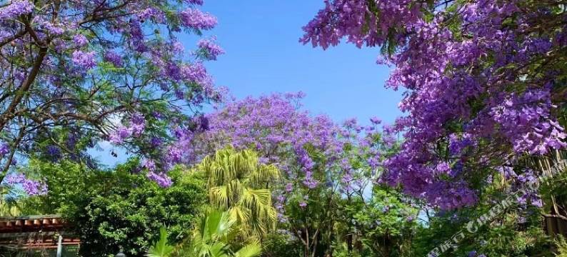 昆明玖宿客栈图片