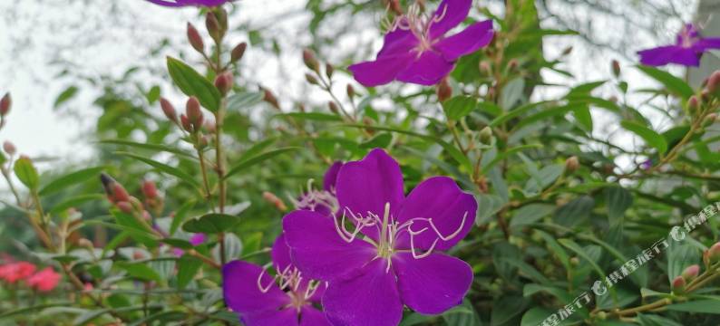 盐城新军旅社图片