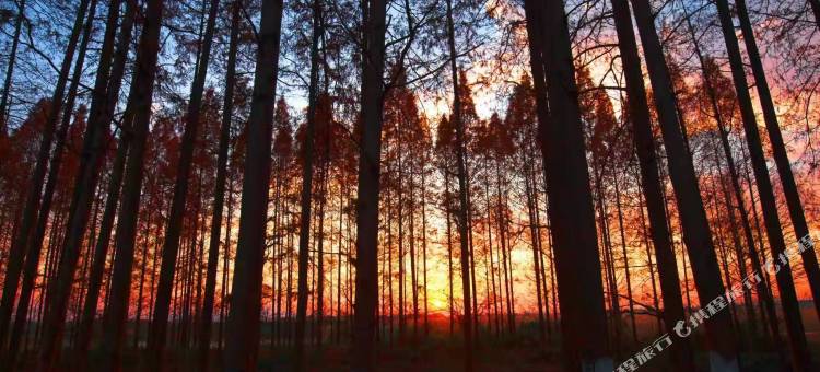 南京汤泉宾馆图片