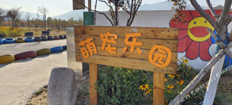 中联太阳花度假酒店(崂山风景区店)图片