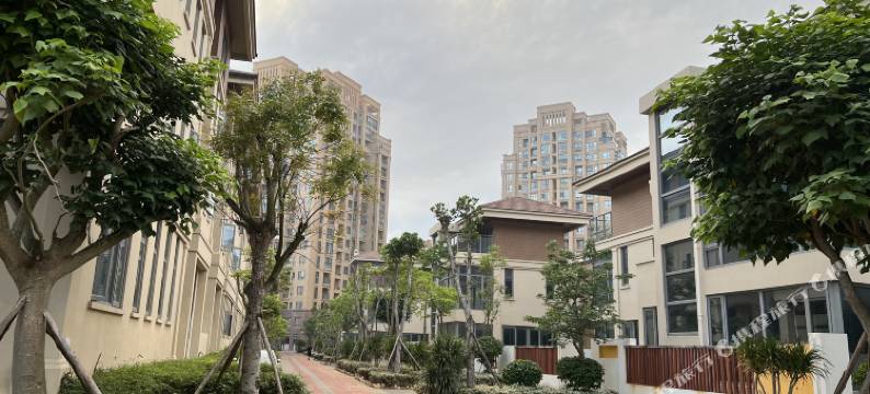 东山澜屿海景民宿图片