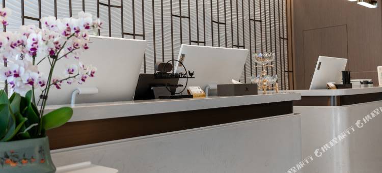 途客酒店(石家庄平山柏坡东路中山世纪广场店)图片