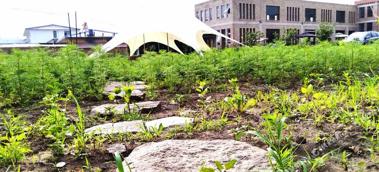 丰宁欣龙门假日酒店图片