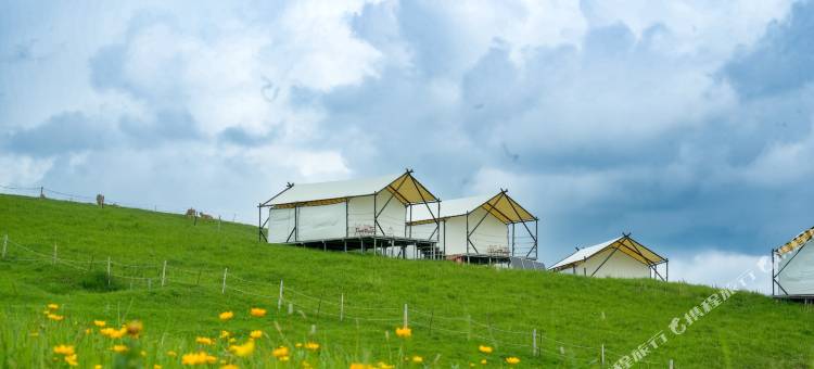 故里·觅野｜360°秘享山地草原美帐Wild-营地美宿(昭苏店)图片