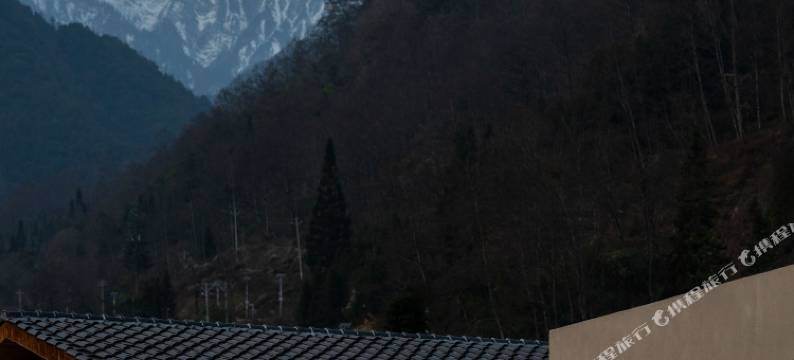 山川·溯集度假酒店(海螺沟冰川森林店)图片