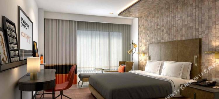 泽西市艺术区希尔顿嘉悦里酒店(Canopy by Hilton Jersey City Arts District)图片