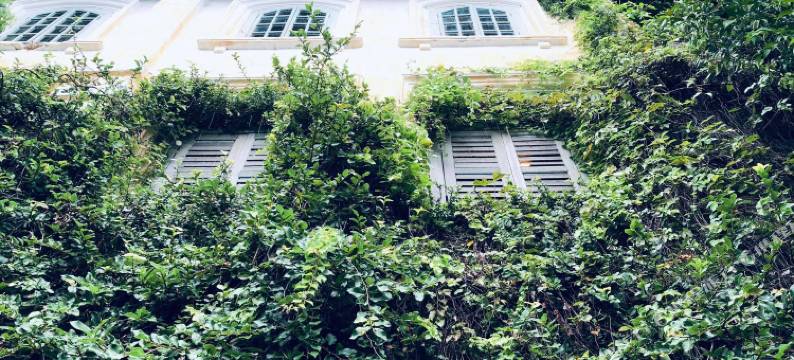 贝拉康空恒梦境酒店(Belakang KongHeng by DreamScape)图片