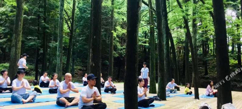 余姚四明山庄森林度假村图片