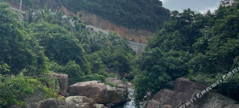 舵手总店民宿图片