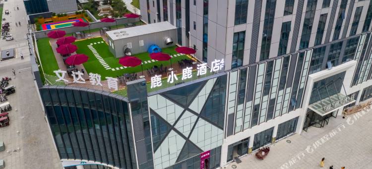 鹿小鹿酒店(新乡高铁东站店)图片