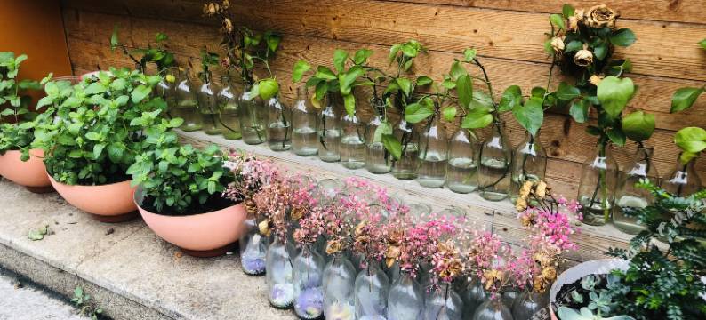 禧桐青年公寓(中山石岐电子科技大学北门店)图片