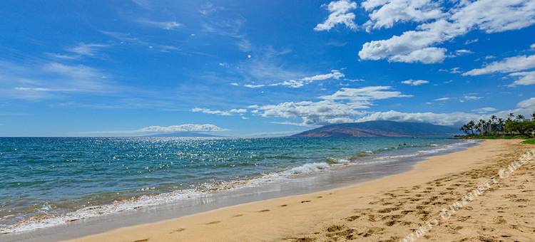毛伊班扬城堡(Castle at Maui Banyan)图片