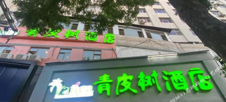 青皮树酒店(兰州西关什字兰大二院店)图片