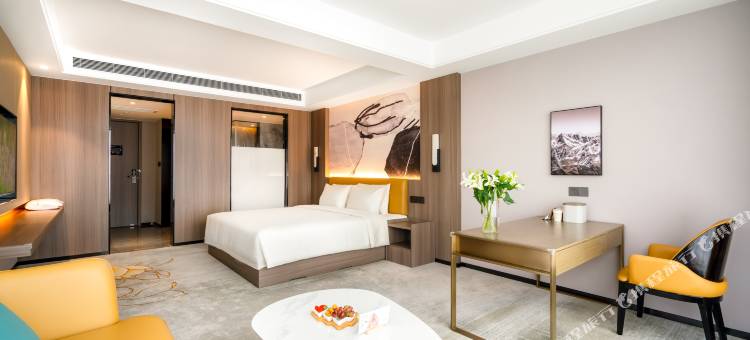 绵阳园艺山科创园火炬北路亚朵X酒店图片