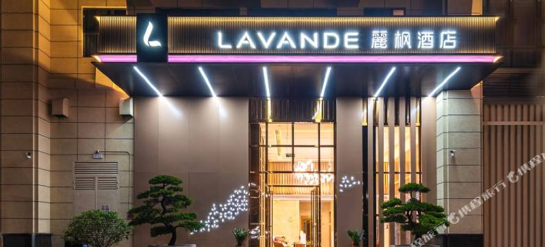 麗枫酒店(广州新塘沙埔万汇广场店)图片