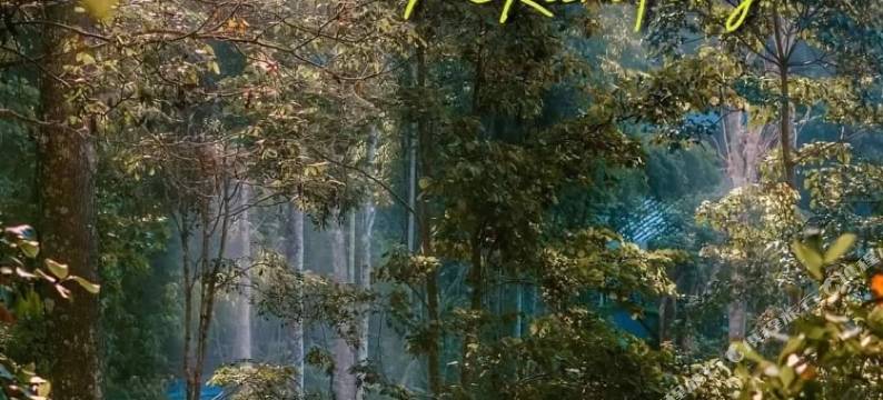 清迈湄康蓬河酒店(The River Maekampong Chiang Mai)图片