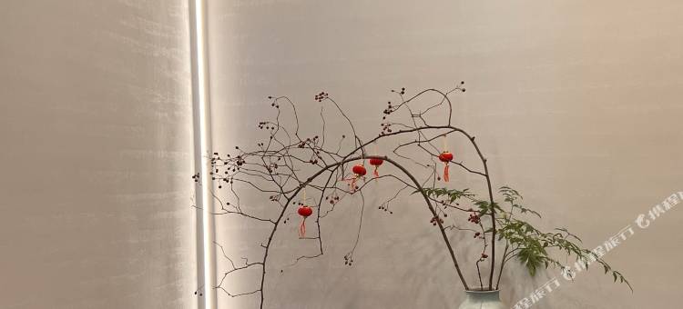 缙云锦·云居民宿(仙都景区店)图片