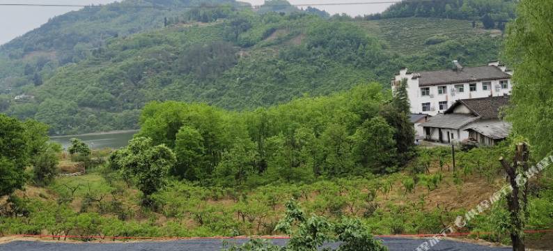 石泉桃居园民宿图片