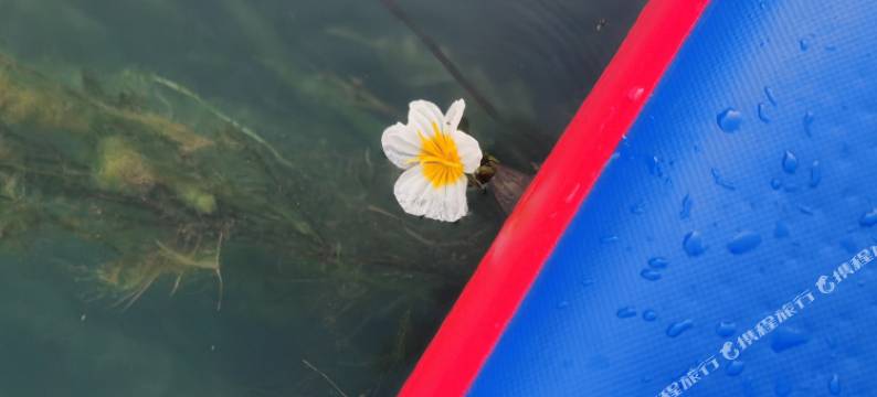 旺角饭店民宿图片