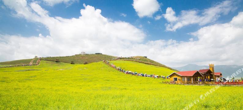 赫章魅韭民宿图片