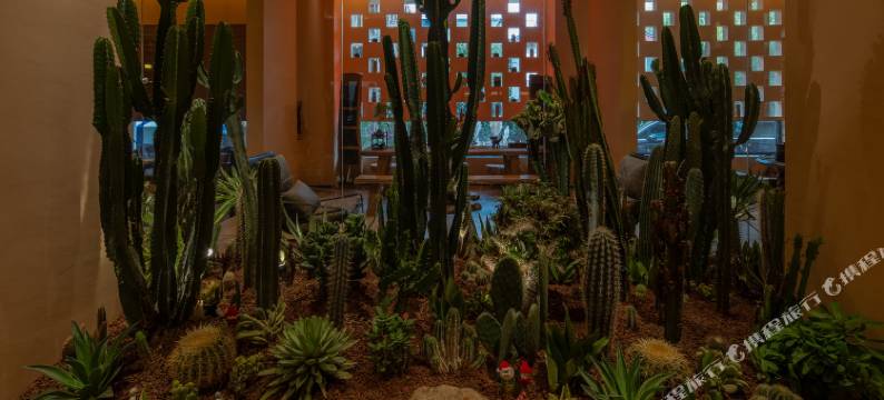 竹舟雪山度假酒店(丽江古城区清溪公园店)图片