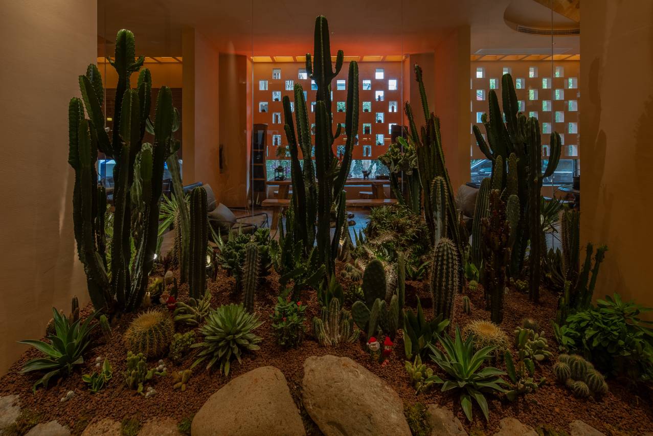 竹舟雪山度假酒店(丽江古城区清溪公园店)图片