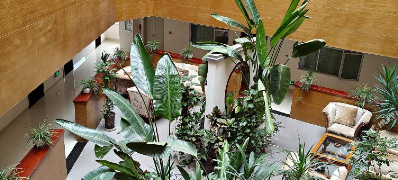 昭平丽丰酒店(商业步行街店)图片