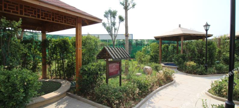 聊城盛景温泉酒店图片