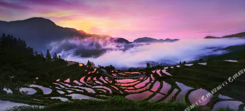 婺源江岭风光客栈图片