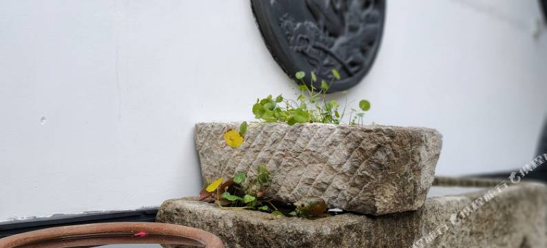 曲阜合家别院主题民宿图片