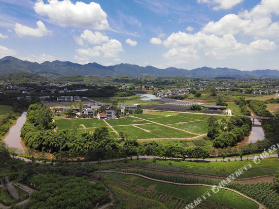 莲花穴艺术院落