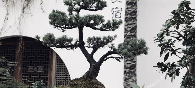 缙云水岸精舍美宿民宿图片