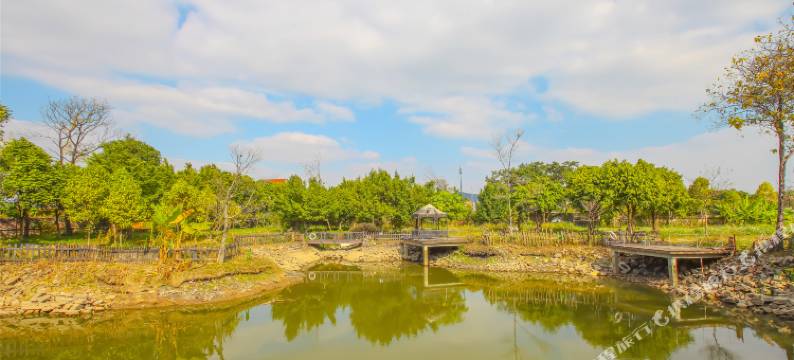 广州紫泥堂房车营地图片