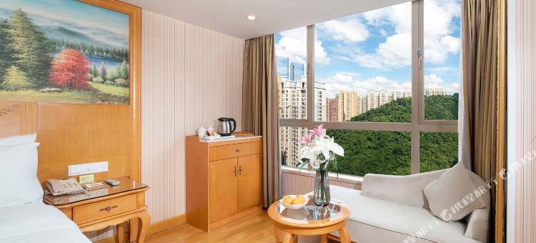 维也纳酒店(贵阳花果园店)图片