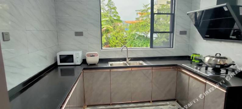 名源温泉度假别墅(清远清新温矿泉店)图片