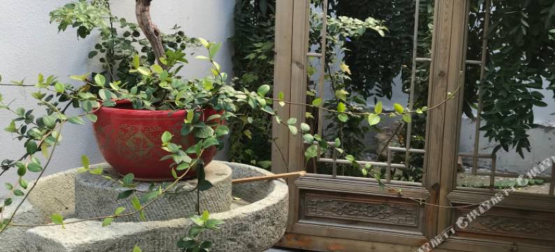 大隐影宿(青州古城店)图片