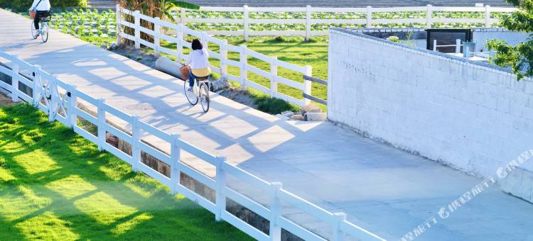 大理观山月民宿(龙龛码头店)图片