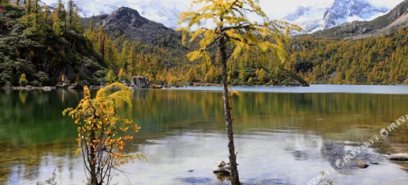 康定贡嘎山山村民宿图片