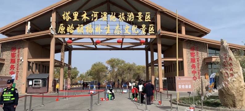 沙雁洲民宿(塔里木河湿地旅游景区店)图片