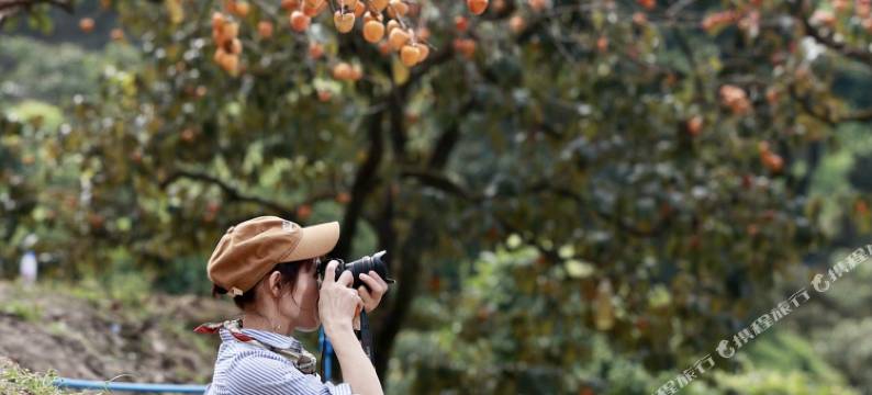 田馨小院民宿(罗洞工匠小镇店)图片