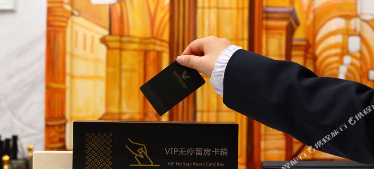 维也纳国际酒店(涪城区园艺山科创园店)图片