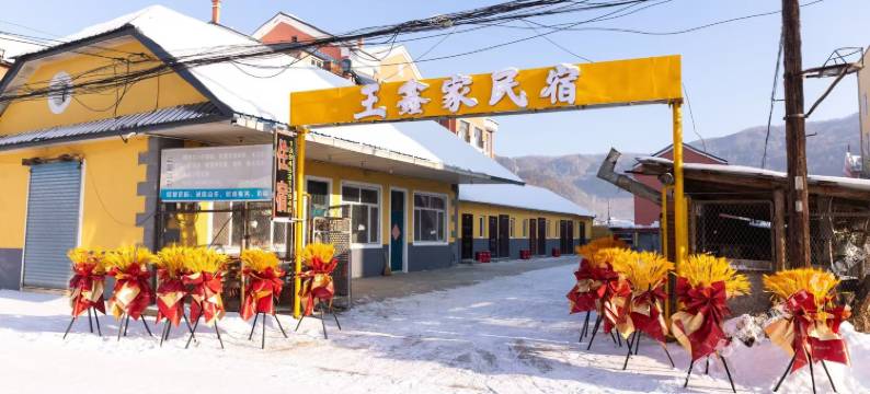 王鑫家民宿图片